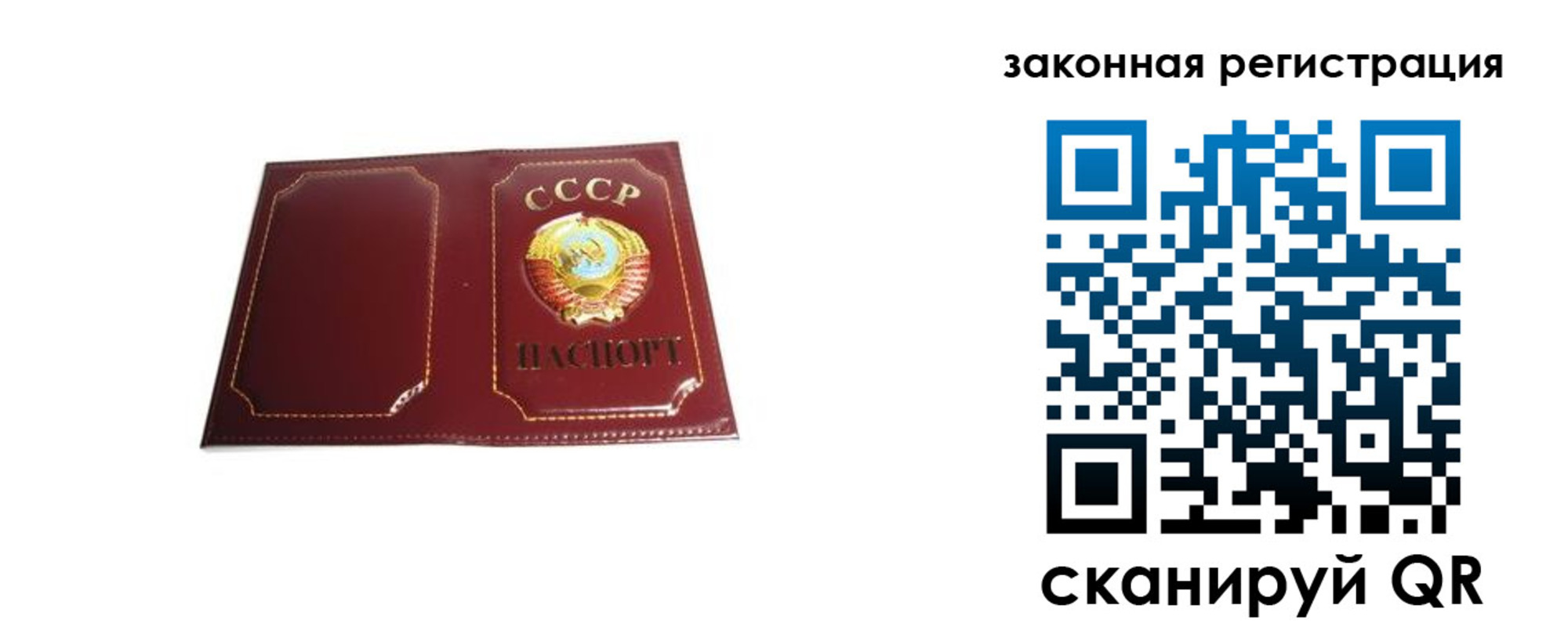 прописка поиск в Ивантеевке