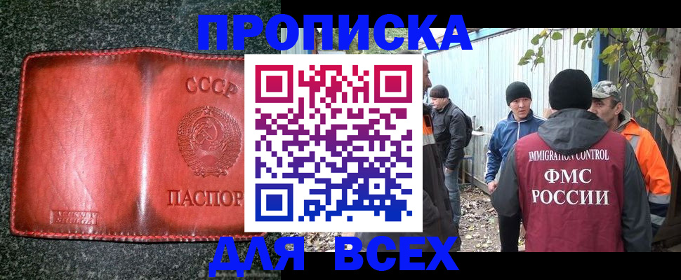 временная регистрация поиск в Ивантеевке